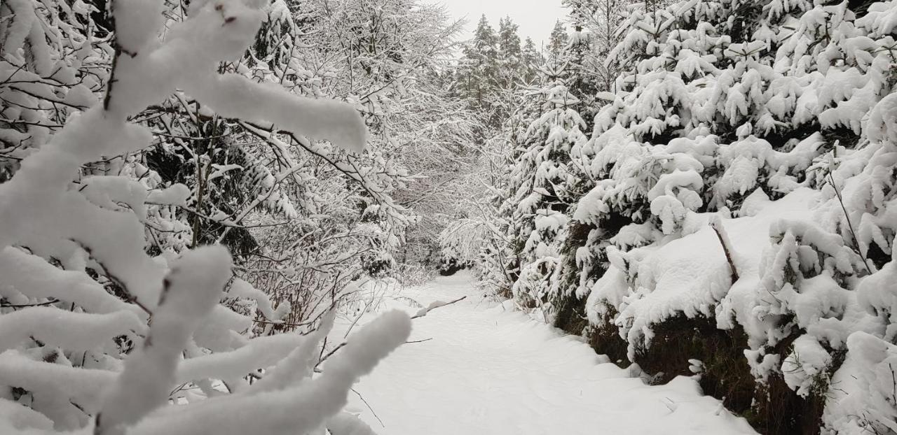 Podskali Adrspach Teplice nad Metují Exterior foto